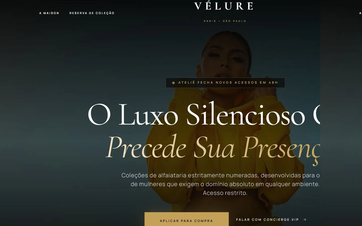 Demonstração conceitual de site para moda